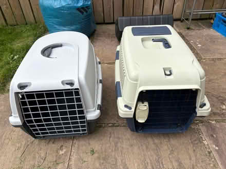 Photo of free 2 large plastic cat carriers (Skelton CA11) #1