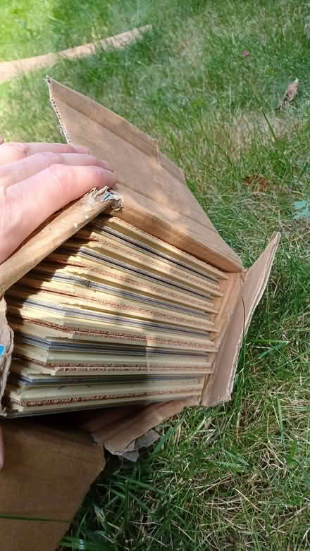 Photo of free Vinyl plank flooring x 13 pieces (S2 Heeley) #4