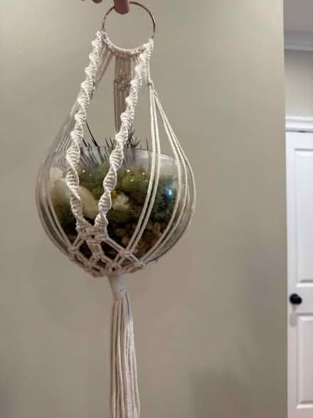 Photo of free Macramé glass bowl (Lexington 02420) #1