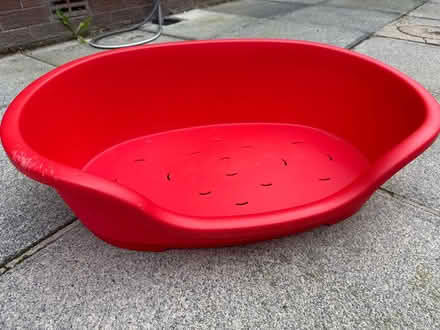 Photo of free Plastic Dog Bed (Dromore, BT25) #2