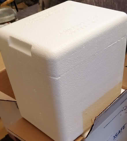 Photo of free styrofoam cooler (South San Jose (Almaden)) #1