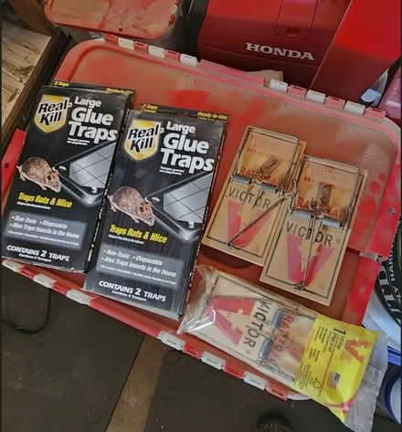 Photo of free Assorted Rat/Mouse Traps (Near Bubb and Rainbow Cupertin) #1