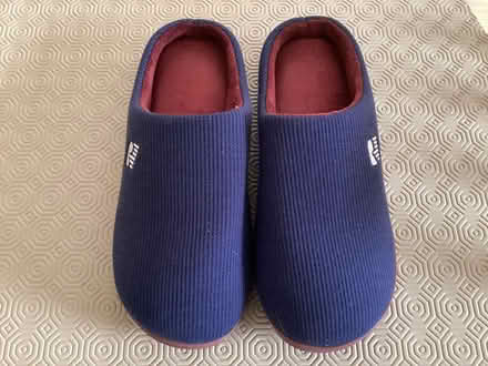 Photo of free Rock dove mules (Bearwood BH11) #2