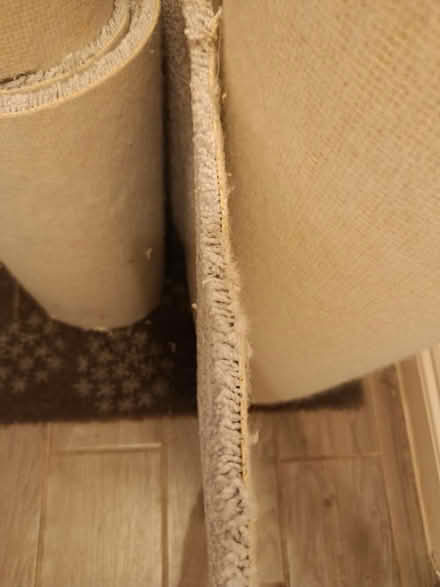 Photo of free 2 rolls of new carpet offcuts (OX3 Wood Farm) #3