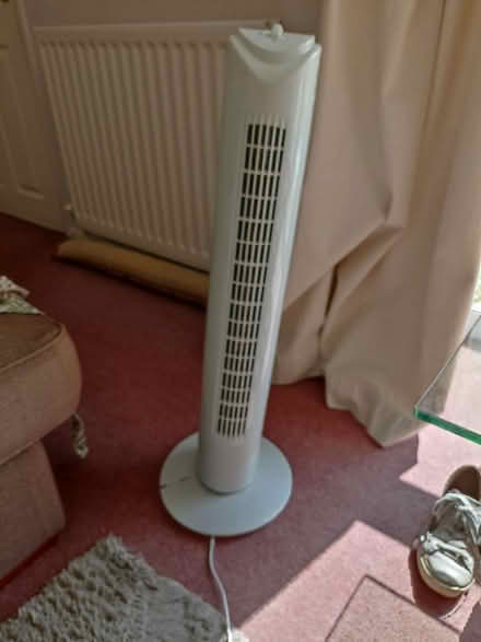 Photo of free Upright electric fan (Thatcham RG18) #1