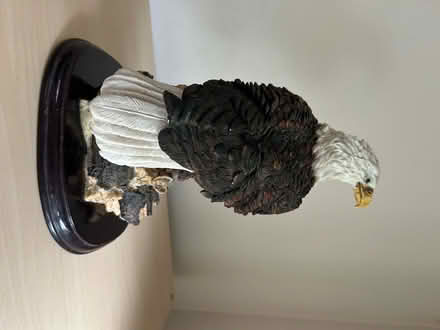 Photo of free Bald eagle statue (Shenley Fields B29) #1