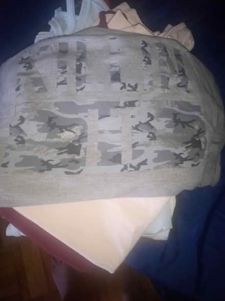 Photo of free 15 ladies xl camisoles (NE Yonkers) #1