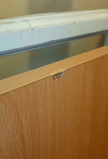 Photo of free Office Desk (professional quality) (Calthorpe OX16) #4