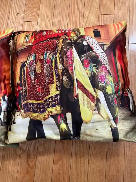 Photo of free Two 14x14 pillows (Near Friendship Heights metro) #1
