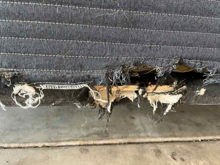 Photo of free Serta King Size Mattress and Base (Fernley, Nevada) #3
