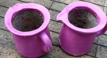Photo of free 5 pink garden planters (Sydenham, SE26) #4