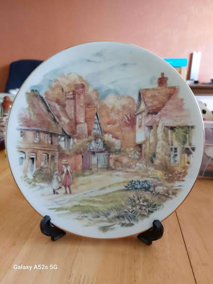 Photo of free Ornamental (Moseley Green WV10) #1