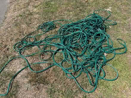 Photo of free 30ft garden hose (Holyport SL6) #1
