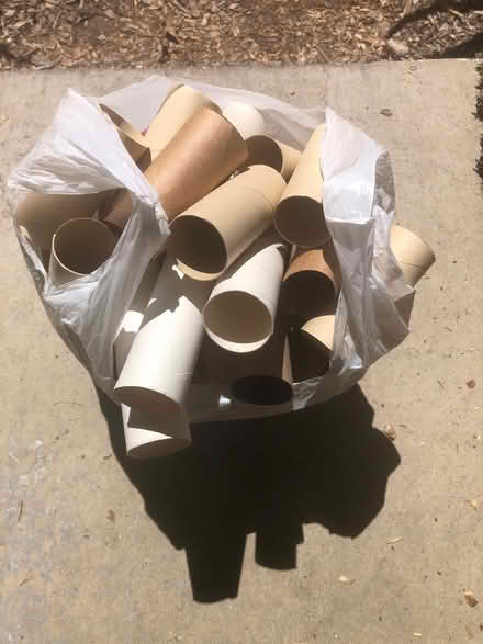 Photo of free Toilet paper/Paper towel rolls (Cambrian) #1