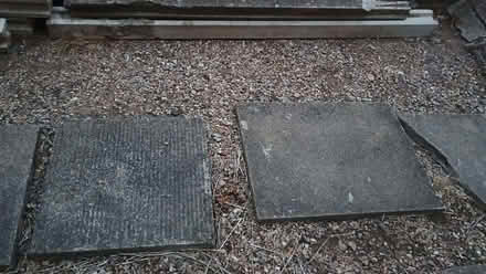 Photo of free Concrete Fence Posts (Spondon DE21) #3