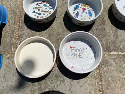 Photo of free Cat bowls & toys (Haywards Heath RH16) #4
