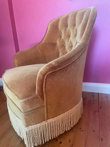 Photo of free Mustard yellow armchair (Ruskin Park SE5) #4
