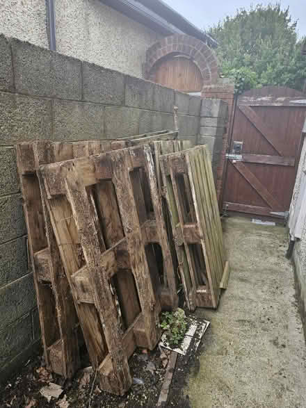 Photo of free Old wood pallets (Naas) #3