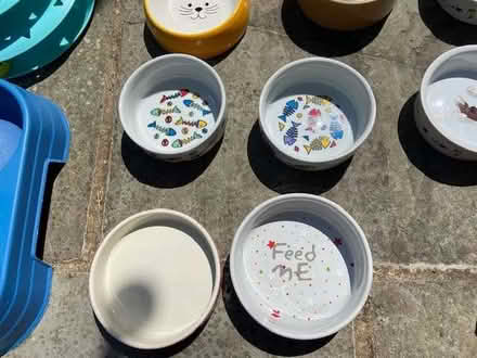 Photo of free Cat bowls & toys (Haywards Heath RH16) #2