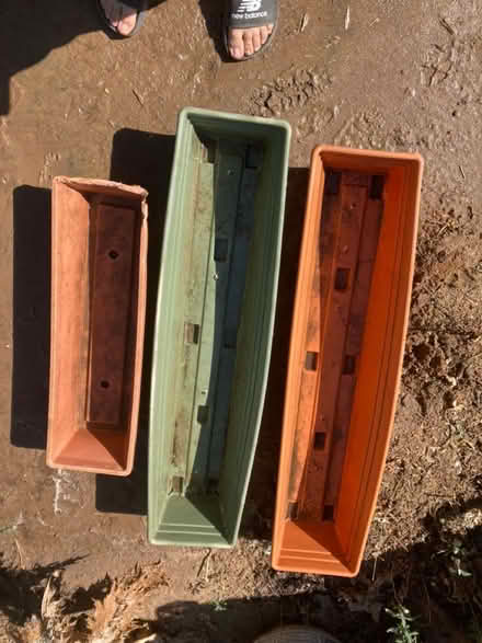 Photo of free Plant stuff (Montebello) #1