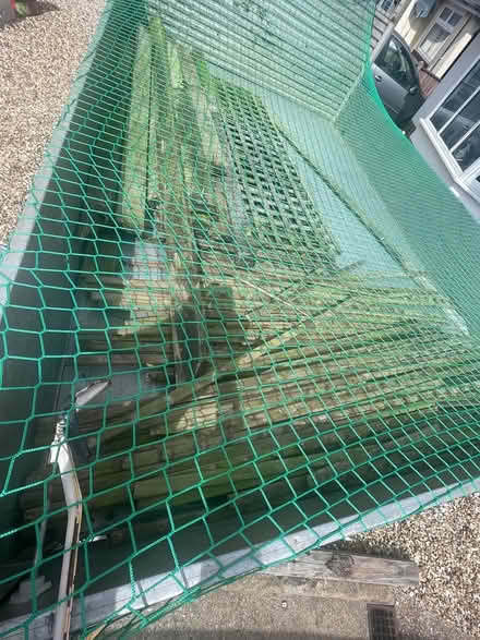 Photo of free wood & trellis (Alderney, Poole BH12) #1