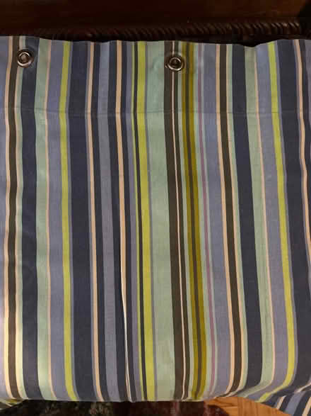 Photo of free Striped Shower Curtain (East 20’s Manhattan) #1