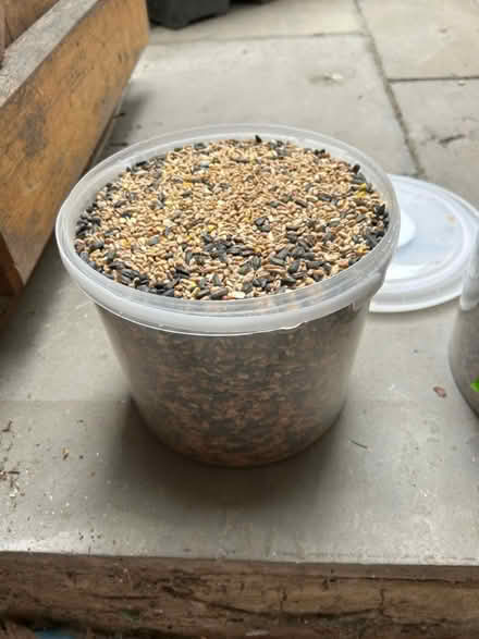 Photo of free Bird Seed (Marden, Devizes SN10) #1