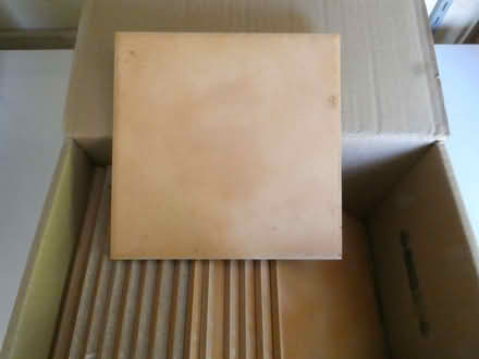 Photo of free Tiles (Baldslow TN37) #1