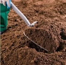 Photo of Top soil (Temple Cowley OX4) #1