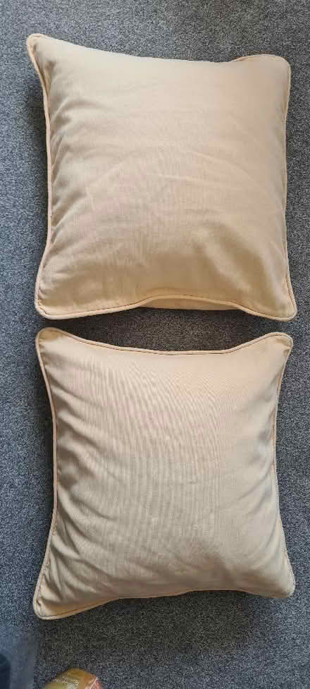 Photo of free Cushions x 2 (Beckenham BR3) #1