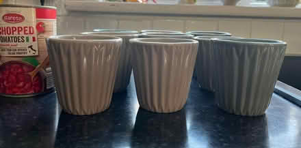 Photo of free Small ceramic plant pots (North King Street) #1