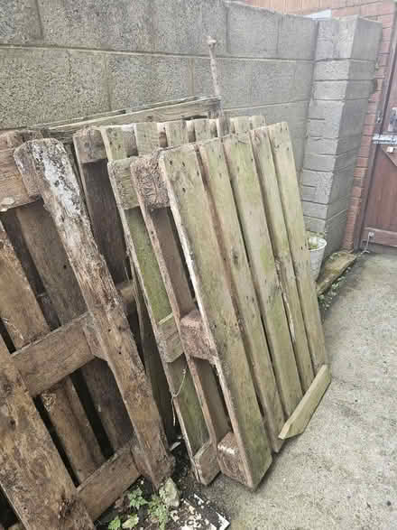 Photo of free Old wood pallets (Naas) #1