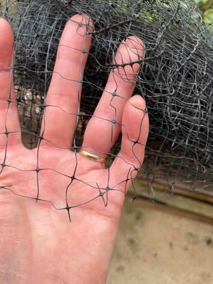 Photo of free Netting for fruit etc. (West Blatchington BN3) #2