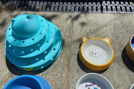 Photo of free Cat bowls & toys (Haywards Heath RH16) #3
