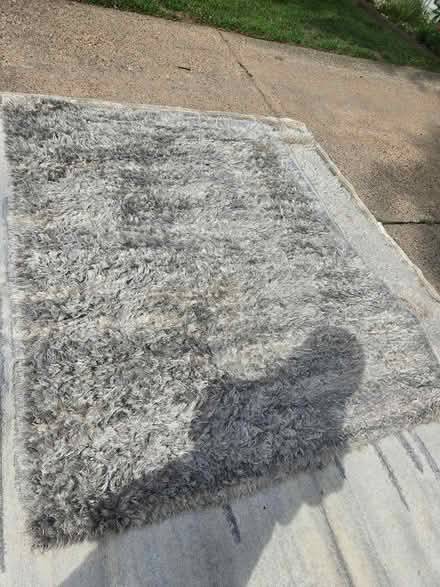 Photo of free Rugs (palisades) #2
