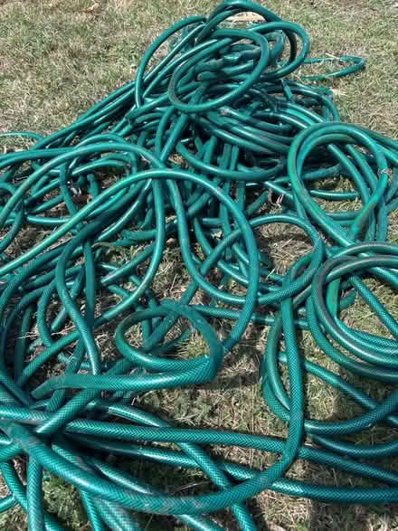 Photo of free 30ft garden hose (Holyport SL6) #2