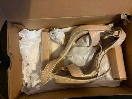 Photo of free Sparkly ladies size 6 platforms (Dereham Rd area NR2) #1