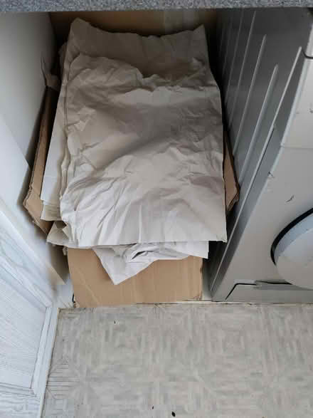 Photo of free Moving/packing boxes and paper (Midanbury SO18) #1