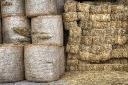 Photo of free bales of Straw (Longford) #1