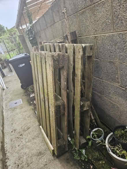 Photo of free Old wood pallets (Naas) #2