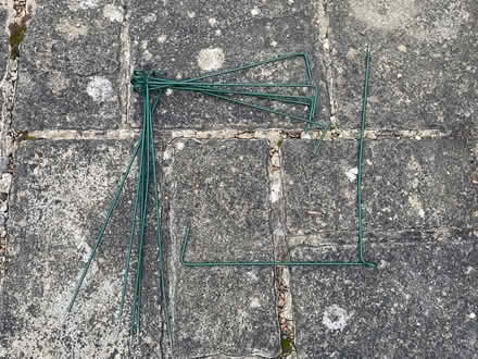 Photo of free Plant supports (West Blatchington BN3) #1