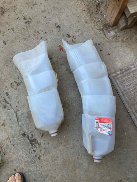 Photo of free Plant stuff (Montebello) #3