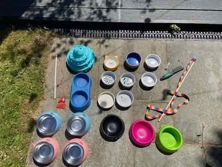 Photo of free Cat bowls & toys (Haywards Heath RH16) #1