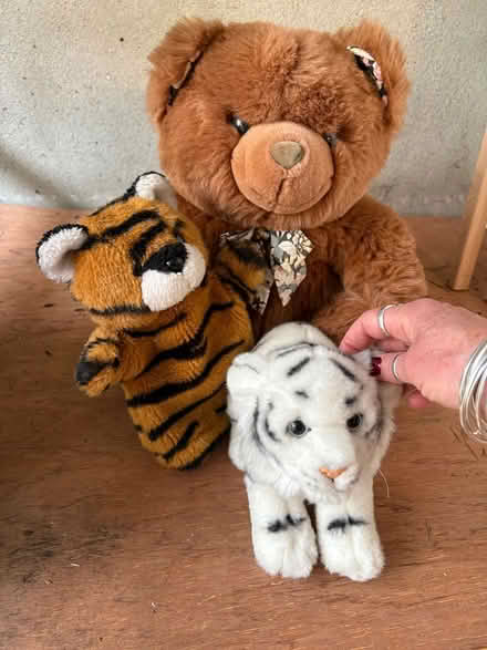 Photo of free Teddy’s (Ballsbridge) #1
