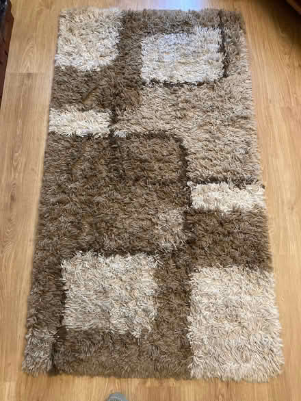 Photo of free Rug 80 x 150cm (Firgrove OL16) #1