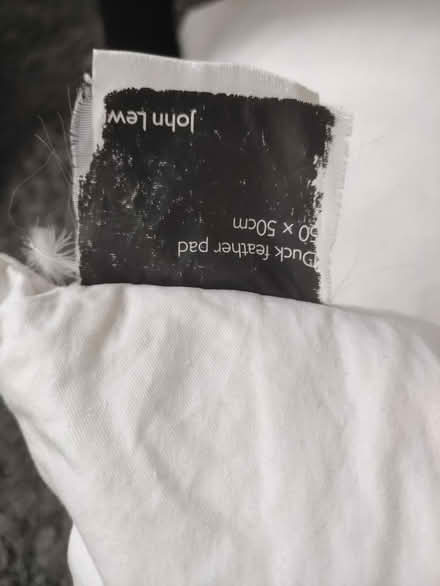 Photo of free Pillows x2 (Walkley S6) #2