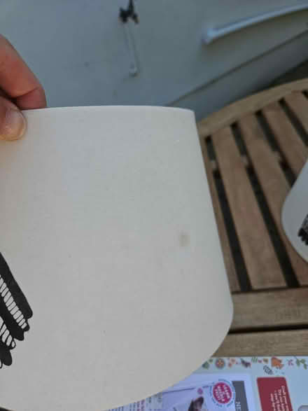 Photo of free Two matching owl lampshades (North Sheen TW9) #3
