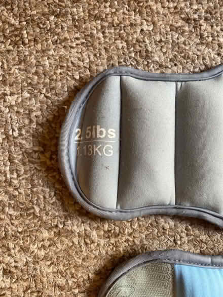 Photo of free Ankle Weights (CT11) #1