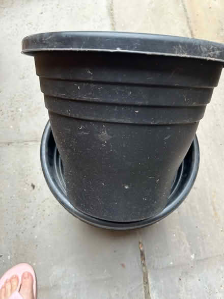 Photo of free 3x 30cm unused black flower pots (Marden, Devizes SN10) #2