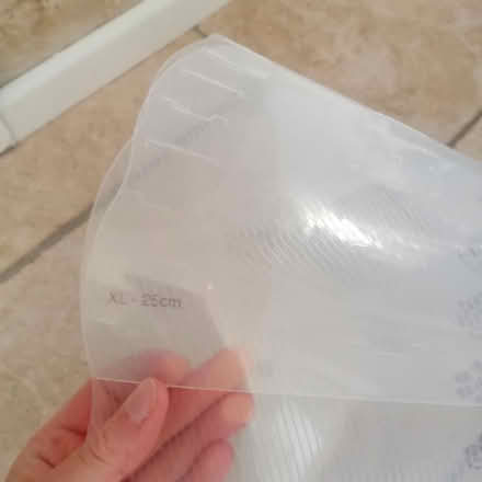 Photo of free Dog protection/ recovery collar (Burwell) #2